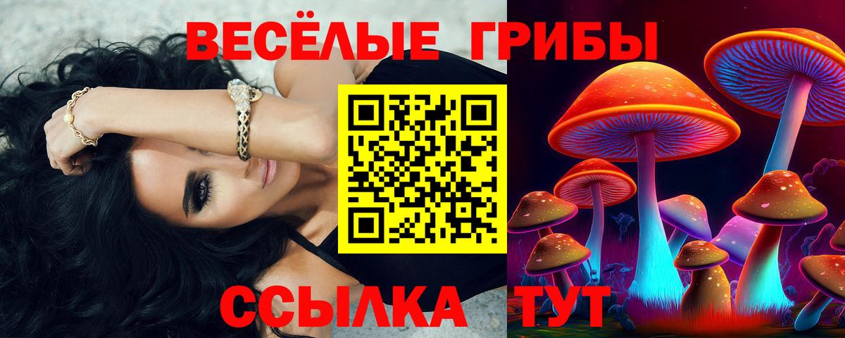 Псилоцибиновые грибы Magic Shrooms Балтийск